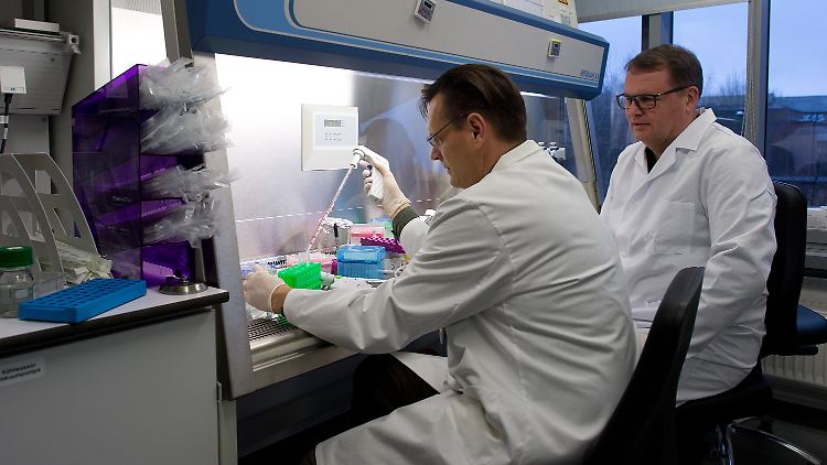 Molekularbiologe Frank Buchholz (l) und Virologe Joachim Hauber arbeiten gemeinsam in den Räumlichkeiten der Universität in Dresden.