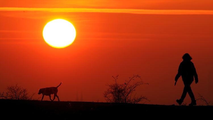 Am 21. Dezember steht die Sonne so tief wie nie am Horizont.