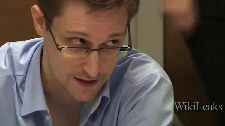 43811074.jpg