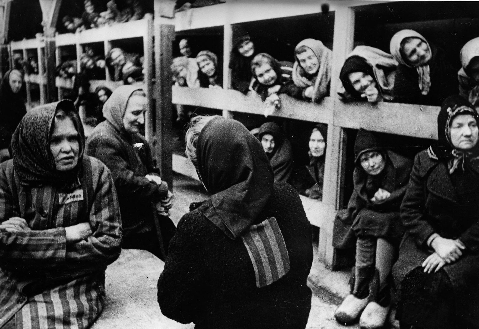"Eine Welt der Toten und Larven": Die Befreiung von Auschwitz - n-tv.de