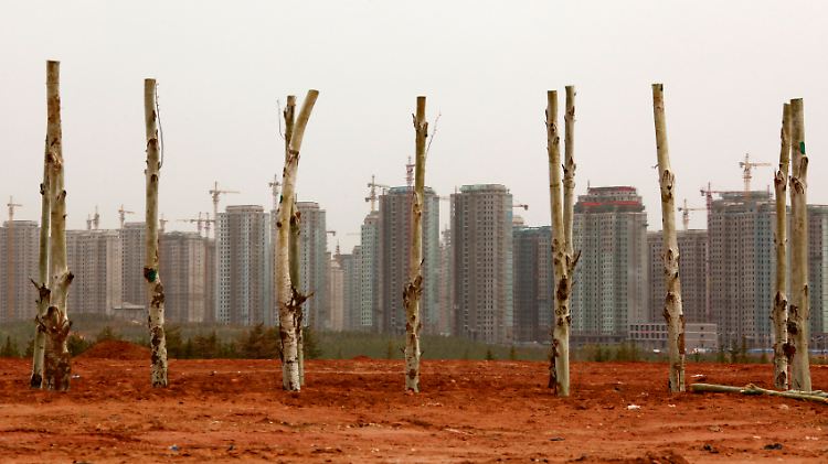 Neu gepflanzte Bäume vor leer stehenden Wohnblöcken in der Stadt Ordos in der Inneren Mongolei. Bis zu einer Million neue Einwohner sollen in die Stadt ziehen - doch nur wenige sind bisher gekommen.