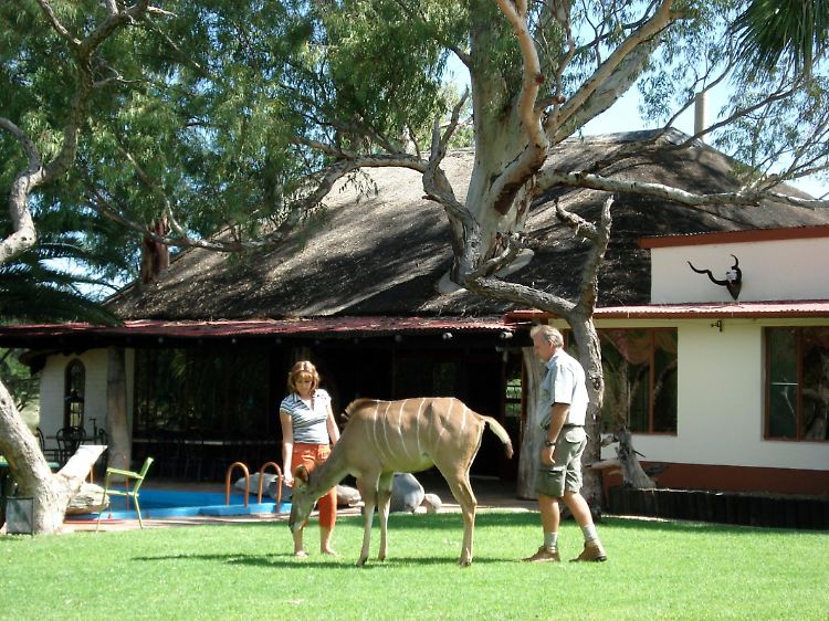Andreas und Christina Werner mit dem Kudu "Kambi" auf ihrer Gästefarm "Elisenheim" bei Windhuk.
