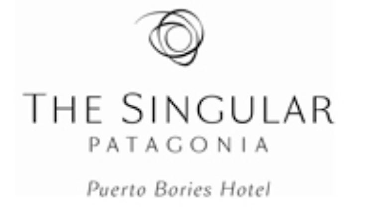 logos-the-singular.jpg