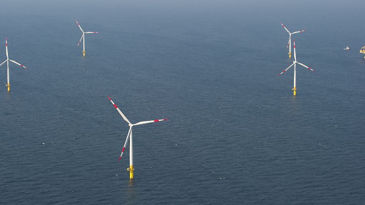 Auf der Ostsee vor der Halbinsel Darß stehen Windräder und die Umspannstation des Offshore-Windparks "Baltic 1". Strom zwischen Skandinavien und Zentraleuropa soll künftig auch über ein Offshore-Stromnetz in der Ostsee fließen können.
