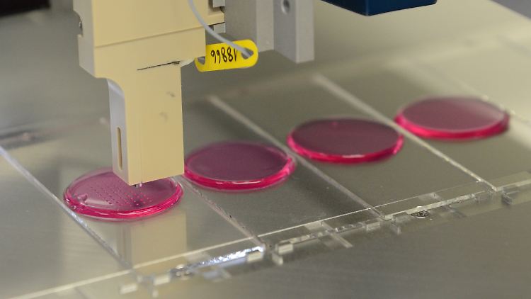 Eine Biotinte wird in Stuttgart im Frauenhofer Institut auf einen Gelatineträger gedruckt.