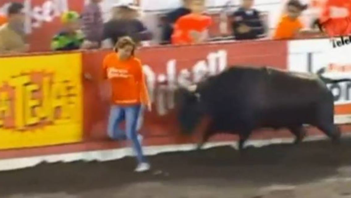stier.JPG