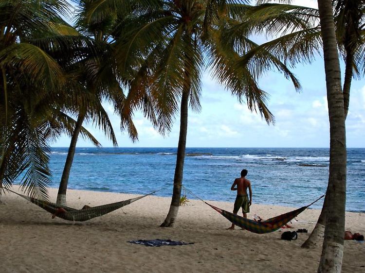 Das Strandvergnügen unter Palmen kann sich auch zum Alptraum entwickeln.