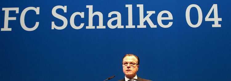 Themenseite: FC Schalke 04
