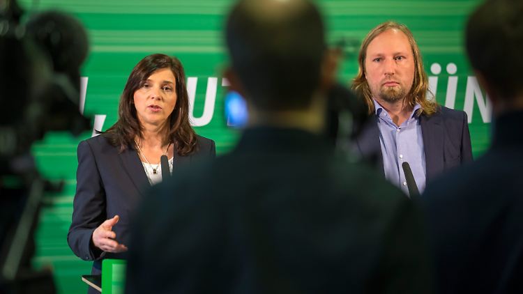 Die grüne Fraktionsspitze: Katrin Göring-Eckardt und Anton Hofreiter.