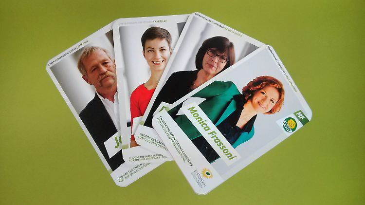 Zwei von ihnen werden Spitzenkandidaten der europäischen Grünen bei der Europawahl: José Bové, Fransziska Keller, Rebecca Harms und Monica Frassoni.