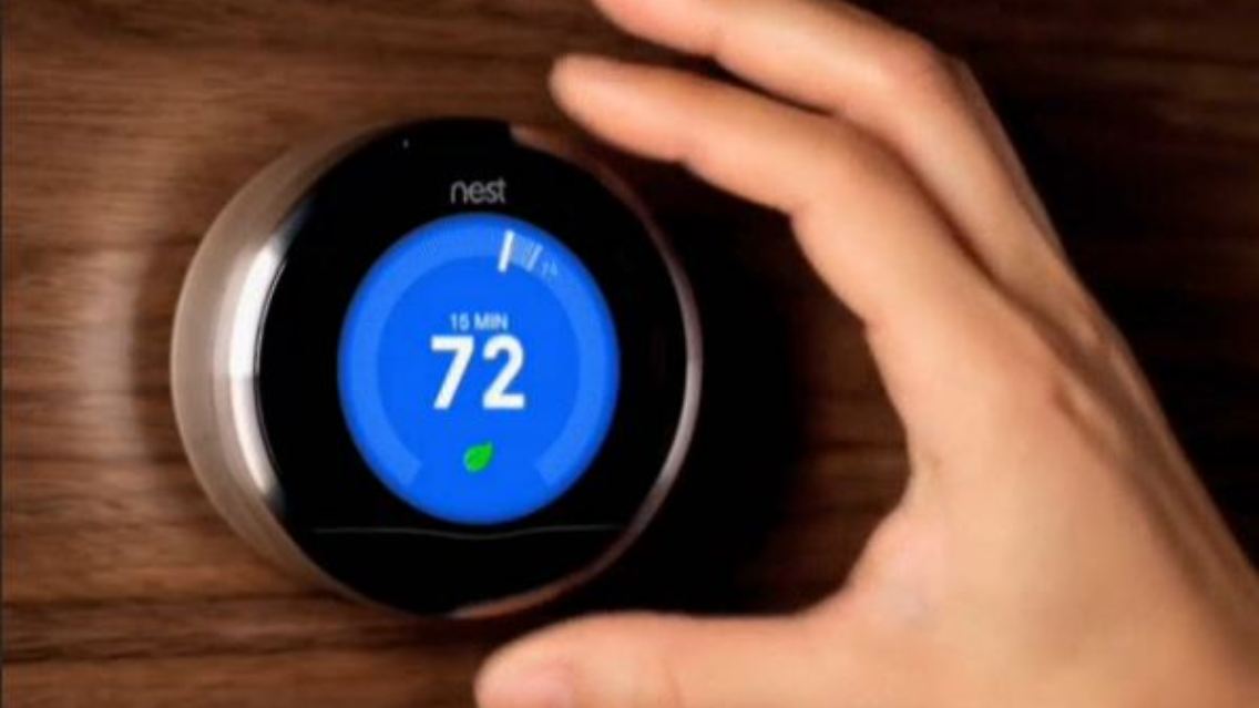 nest.JPG