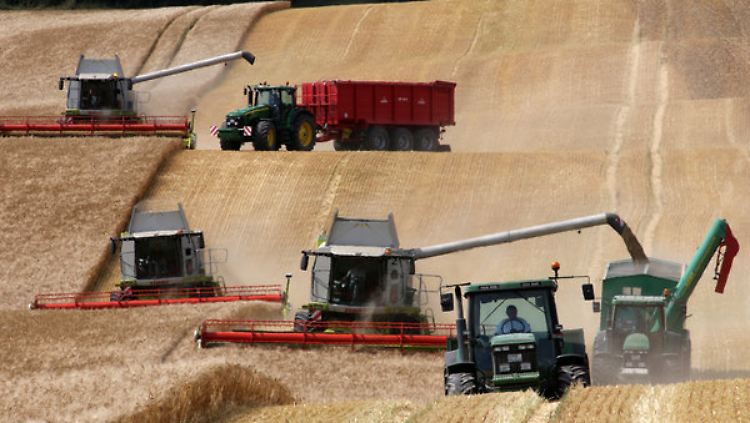 Die Landwirte erwarten höhere Einnahmen - auch durch Preissteigerungen.