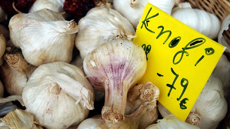 Manche Menschen können von Knoblauch gar nicht genug bekommen, andere finden den Geschmack (und Geruch) ekelhaft und meiden ihn.