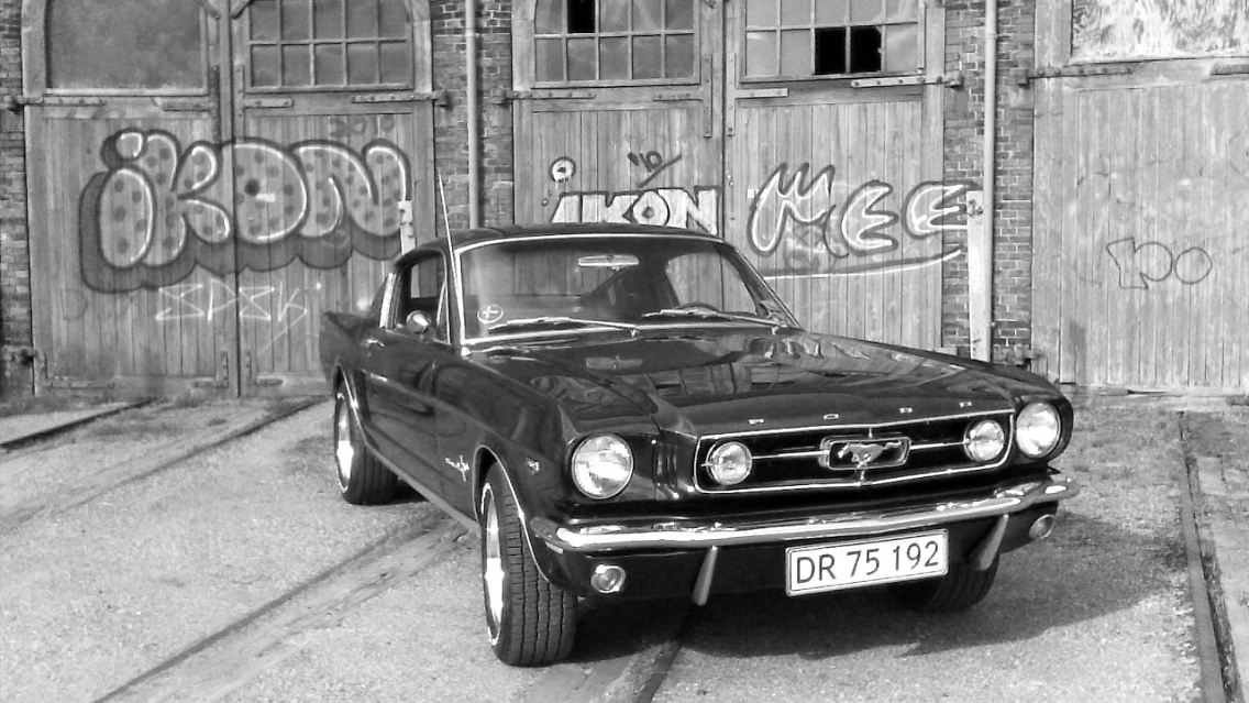 ... derMustang war und ist beständiger emotionaler Imageträger im sonst nüchternen Ford-Pkw-Programm.