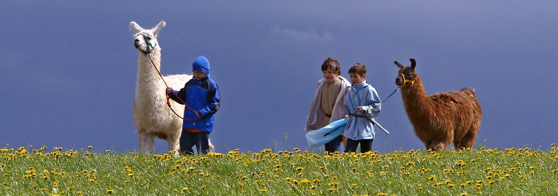 Kinder mit Tieren eines Lamahofs im Allgäu - auch diese werden unter anderem für Trecking-Touren eingesetzt.