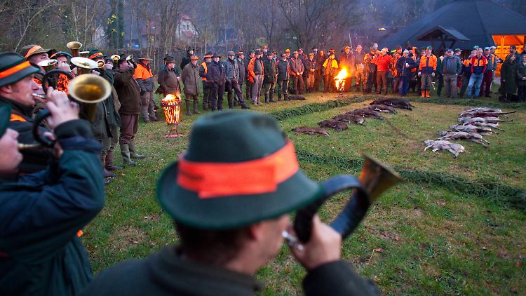 Anders als diese Thüringer Jagdgesellschaft wollen die Bitterfelder kein saumäßiges Massaker veranstalten.