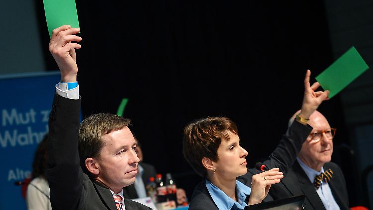 Abstimmung in Aschaffenburg. Die grünen Karten zeigen: Bernd Lucke und Co-Vorstandsmitglied Frauke Petry sind dafür.