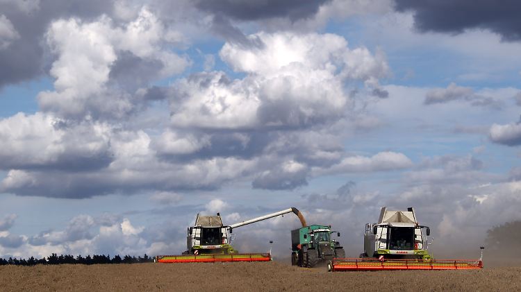 So hat man Deutschland noch nie gesehen: Die Statistikämter bieten nun auch kleinräumige digitale Karten zur Landwirtschaft an.