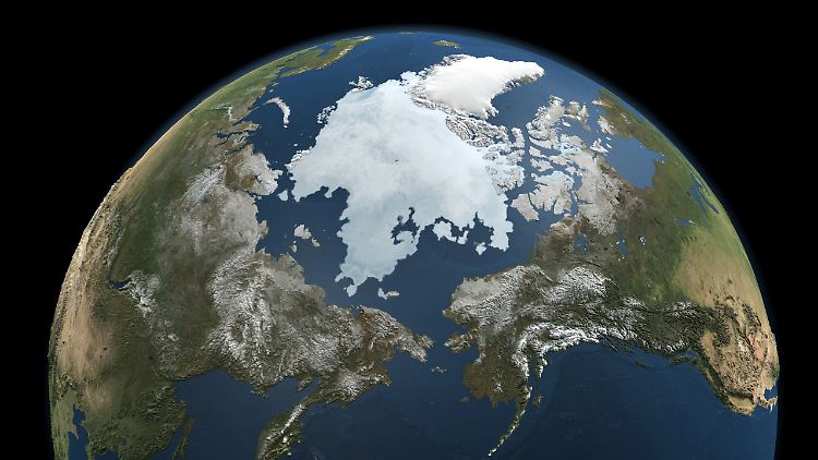Die Klimaerwärmung trifft die Polarregionen besonders stark.