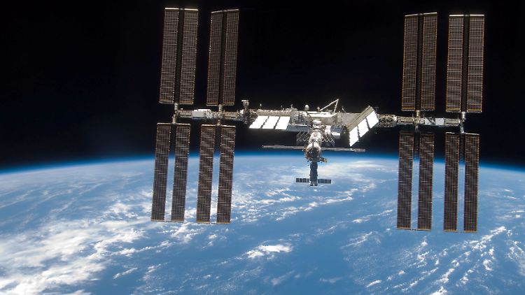 Neben Fischen und Würmern sind sechs Wissenschaftler an Bord der ISS.