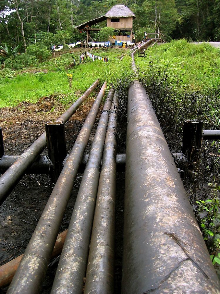 Veraltete Technik und mangelnde Transparenz: Eine Pipeline im Yasuní Nationalpark.