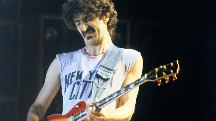 Wissenschaftler haben einen neu entdeckten Bakterienstamm Propionibacterium acnes type Zappae genannt - nach dem 1993 gestorbenen US-Musiker Frank Zappa.