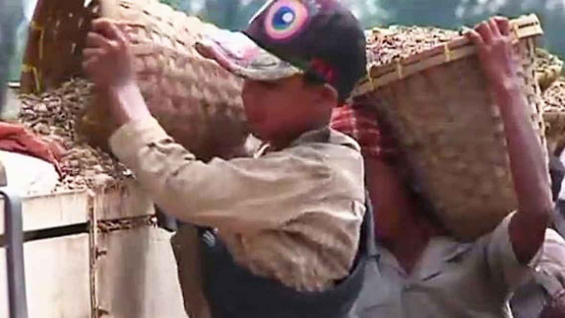 Kinderarbeit Myanmar.JPG