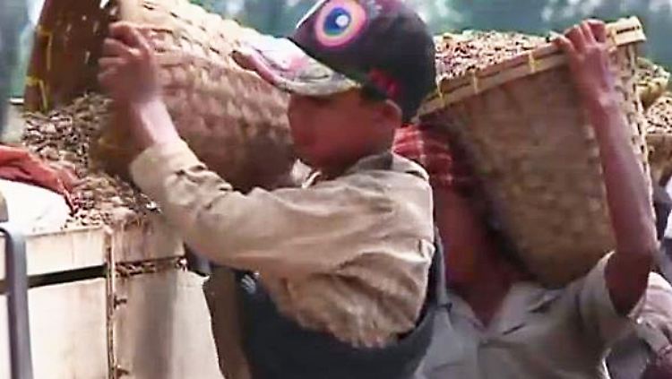 Kinderarbeit Myanmar.JPG