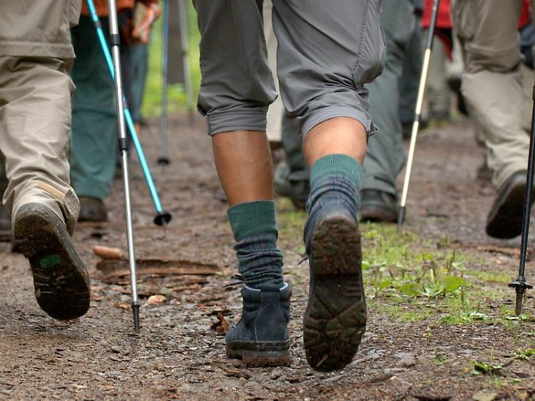 So sammeln Versicherte Pluspunkte bei der Krankenkasse: Wandern wird immer öfter als gesundheitsfördernde Maßnahme im Bonusheft anerkannt.