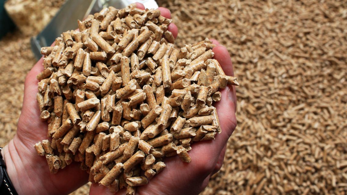 pellets.jpg