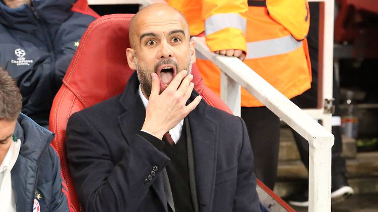 Feinschmecker: Josep Guardiola, Trainer des FC Bayern München.