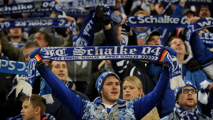 Vollblutfans.
