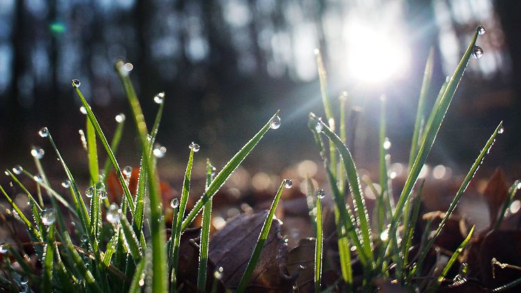 So richtig kalt war es im Februar nicht.