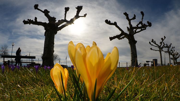Einen Hauch von Frühling durften wir bereits genießen. Doch so bleibt es nicht.