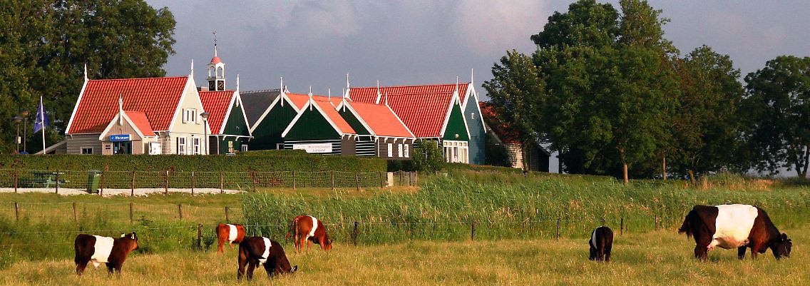 Grasen vor dem Weltkulturerbe: Seit 1995 steht die trockengelegte Insel Schokland auf der UNESCO-Liste.