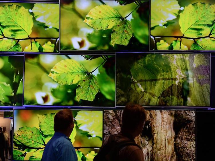 Den Wald vor lauter Bäumen sieht man manchmal beim Blick ins Einstellungsmenü des Fernsehers nicht mehr. Experten raten aber, die Optionen in Ruhe durchzuprobieren.