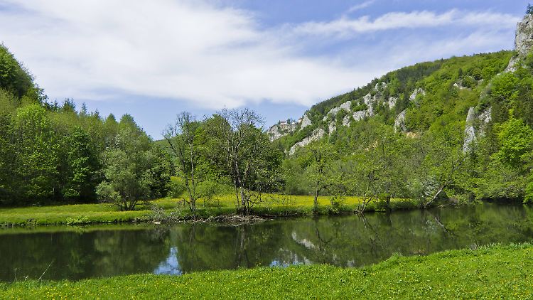 Idyllisch fließt die Donau, doch unter der Wasseroberfläche sieht es weniger malerisch aus.