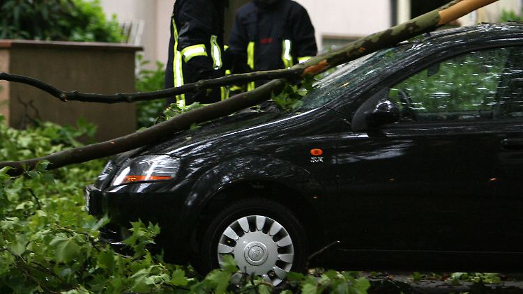 Für Schäden durch gesunde Bäume muss die Stadt nicht aufkommen. Die Kaskoversicherung zahlt nur, wenn die Äste durch Sturm oder Unwetter abgerissen wurden.