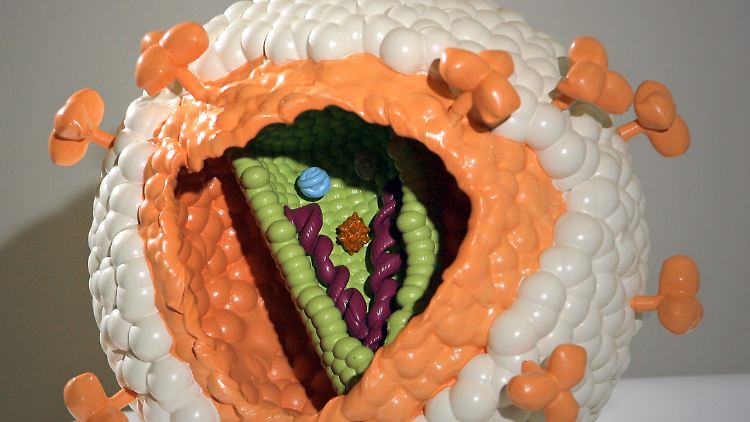 Modell eines HIV-Virus: Der Wirkstoff GSK744 blockiert ein bestimmtes Enzym und verhindert so, dass HIV sein Erbgut in die Zellen seines Wirtes einbauen kann.