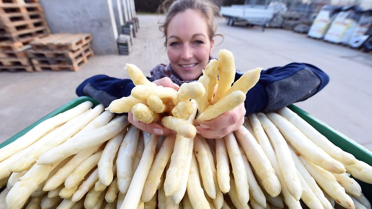 Franziska Gehrer vom Spargelhof Gehrer in Durmersheim zeigt ersten badischen Spargel.