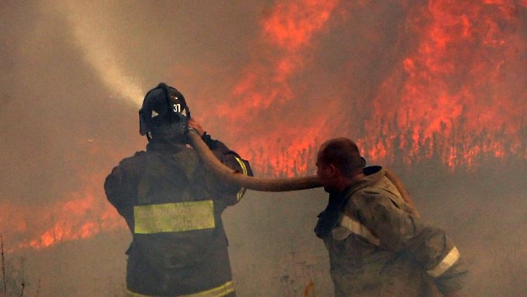 Häufig kommen die Feuerwehrleute nicht gegen die Flammenwände an.