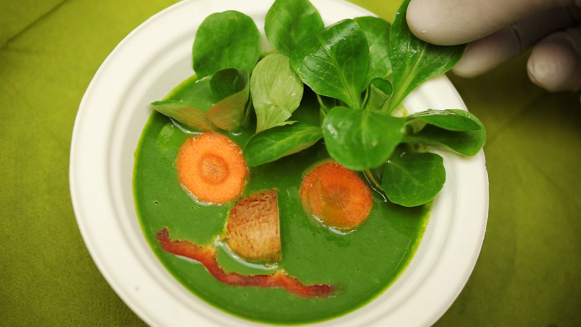 Bei vielen veganen Alternativprodukten besteht noch Verbesserungsbedarf.