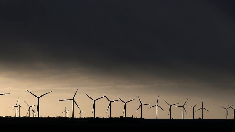 Erneuerbare Energien gelten als Zukunftsbranche. Hier ein Windfeld in Klanxbüll (Schleswig-Holstein).