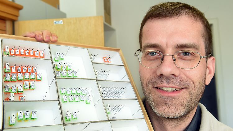 Riedel mit in einem Insektenkasten präparierte Rüsselkäfer der Gattung Trigonopterus, die aus Bali stammen und von ihm entdeckt wurden.