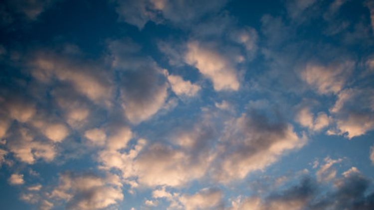 Die Cloud-Dienste tragen nur langsam zum Oracle-Umsatz bei.