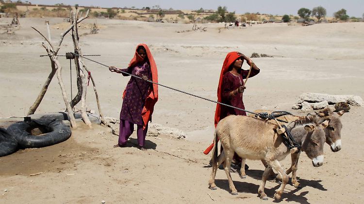 Auch Dürren sind eine Folge der Erderwärmung. In vielen Regionen der Welt ist Wasserholen ein hartes tägliches Brot, so wie hier in Pakistan.