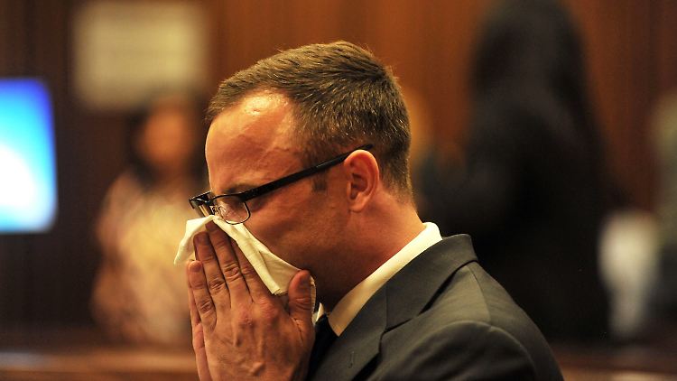 Im Mordprozess gegen den beinamputierten Sportstar Oscar Pistorius widerspricht eine weitere Nachbarin der Darstellung des Südafrikaners. 