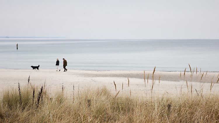 Die Idylle ist getrübt: Die Todeszonen-Fläche in der Ostsee hat sich binnen 115 Jahren verzwölffacht.