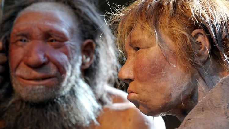 Der Neandertaler starb vor 30.000 Jahren aus - hinterließ dem modernen Menschen aber einige Gene.