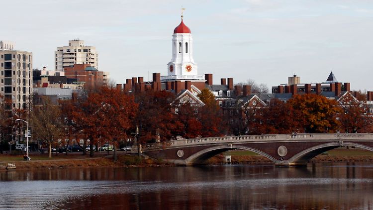 Die Harvard Universität in Cambridge ist nur eine von vielen Unis, die den 17-Jährigen aufnehmen möchte.